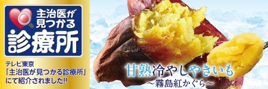 �Ïn��₵�₫�����`�����g������`