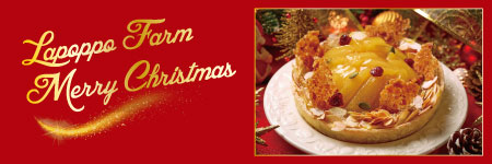 12��1���`��ۂ��ۂɂāA�N���X�}�X���菤�i�̔������J�n���܂����B