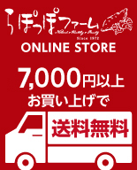 ��ۂ��ۃt�@�[��ONLINE�X�g�A